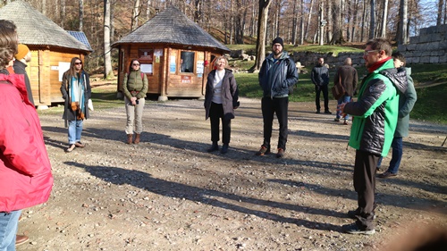 IMG 4531